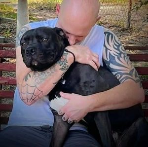 Meet your Posher, Wade